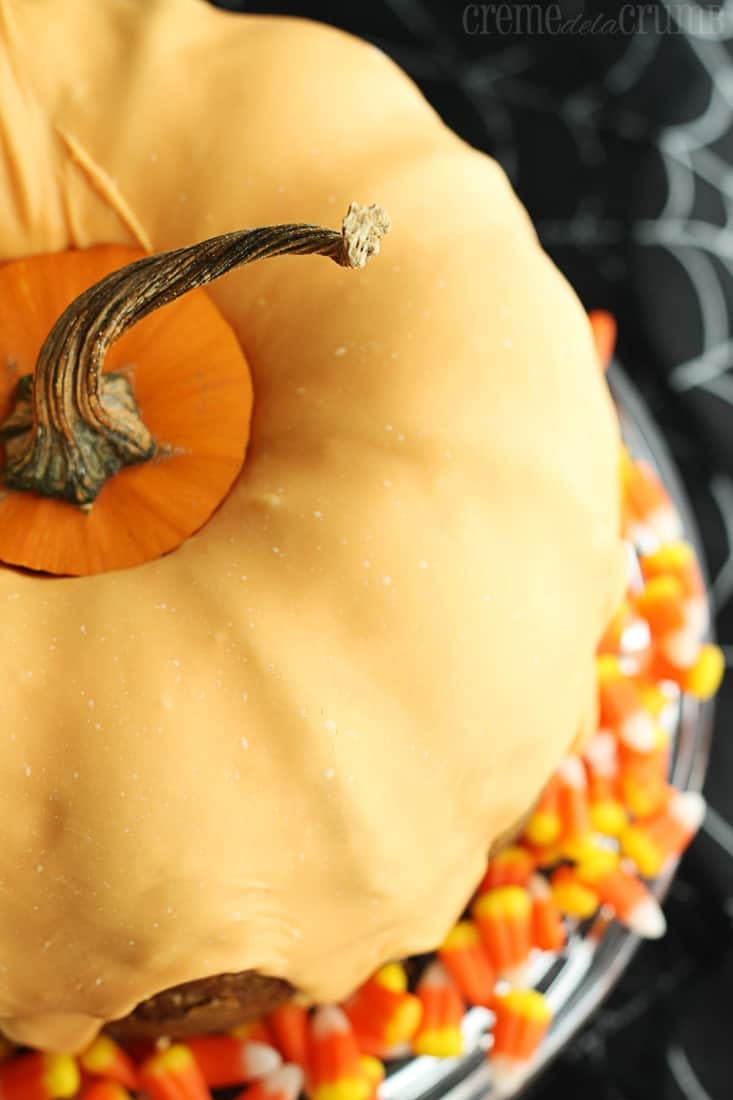 top view of bundt cake with pumpkin stem on the top.