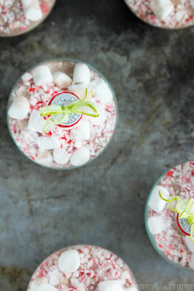 top view of peppermint cocoa Christmas ornaments.