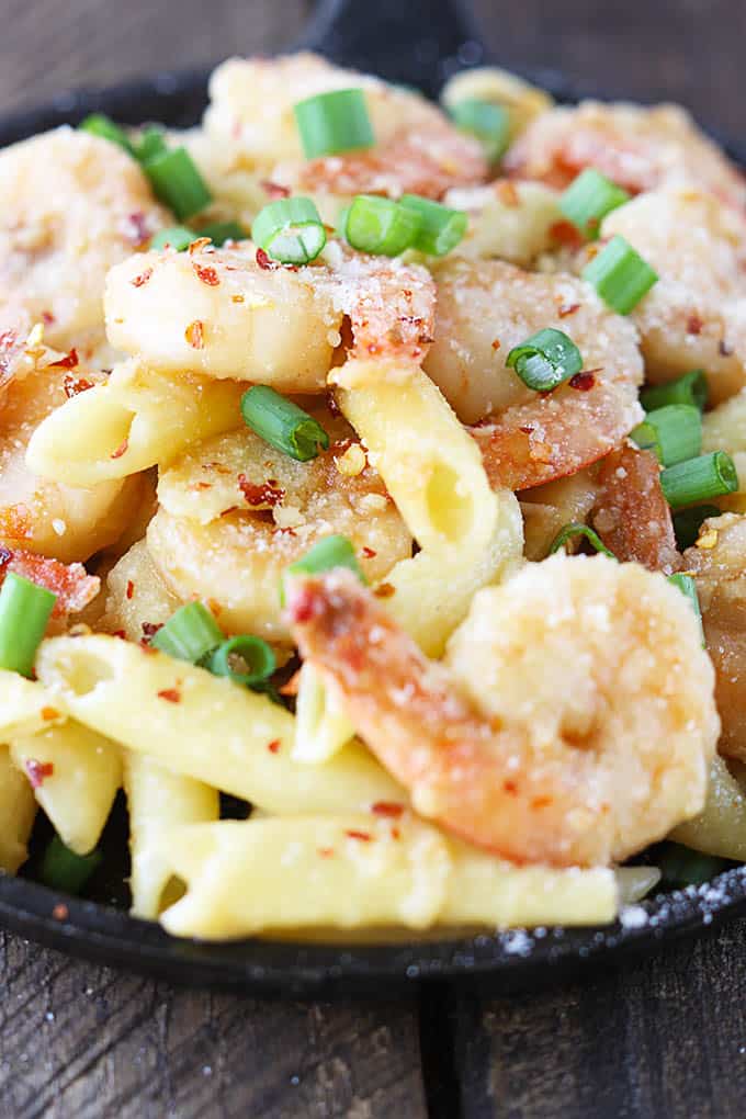 close up of spicy parmesan shrimp pasta in a skillet.