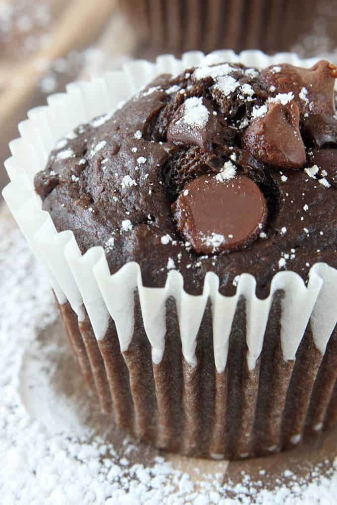 close up of a triple chocolate chip muffin.