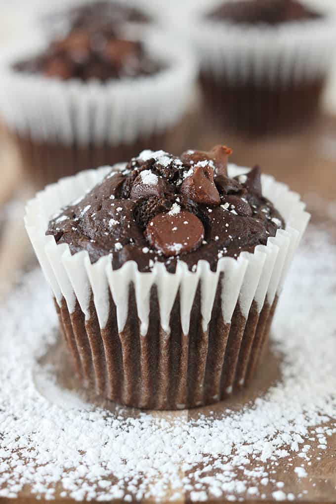 a triple chocolate chip muffin with other muffins faded in the background.