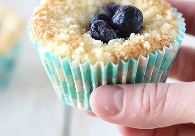 Dreamy Blueberry Muffins