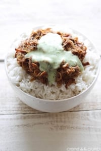 Cafe Rio Sweet Pork {copycat}