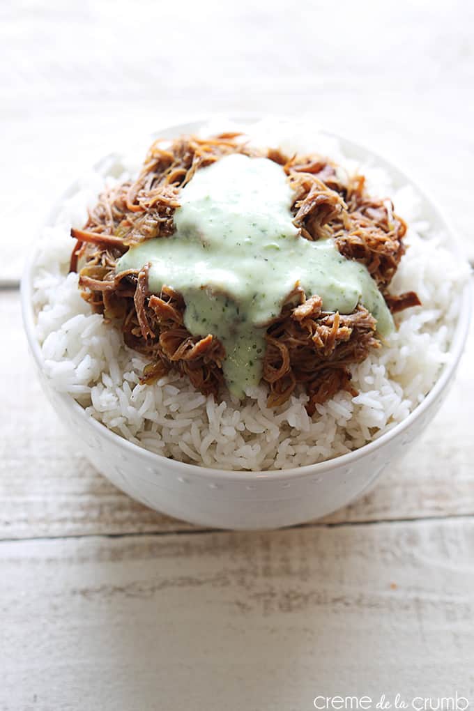 Cafe Rio Sweet Pork Copycat