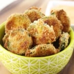 Oven Baked Zucchini Fries