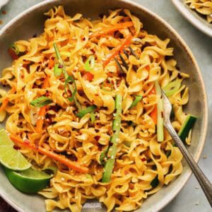 Overhead of sesame noodles and a fork in a pasta bowl.