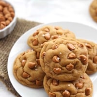 Soft Butterscotch Chip Pudding Cookies