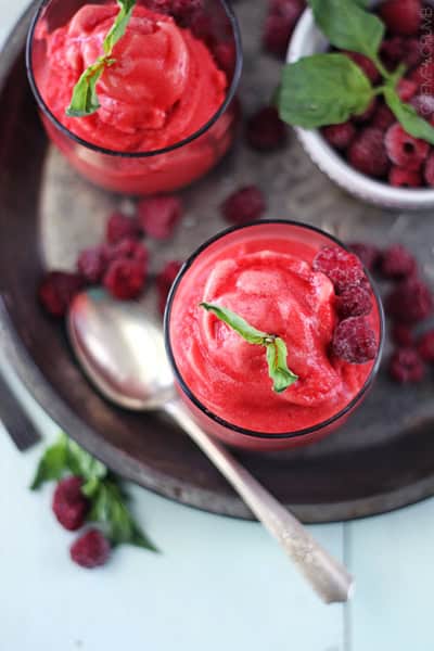 Winco Raspberry Sorbet Raspberry Sorbet