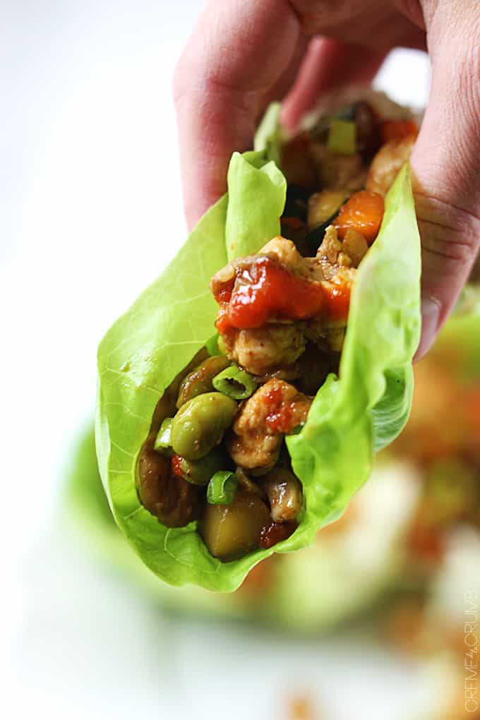 a hand holding a Asian chicken lettuce wrap.