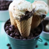 Hot Fudge Ripple Mint Chocolate Chip Ice Cream