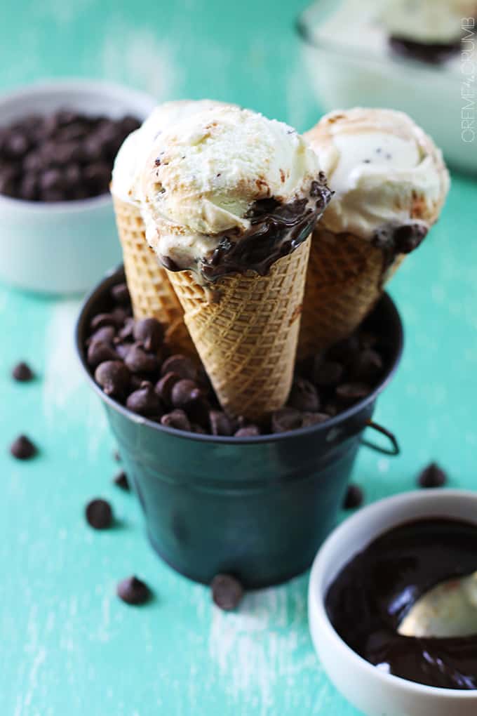 Hot Fudge Ripple Mint Chocolate Chip Ice Cream - 35