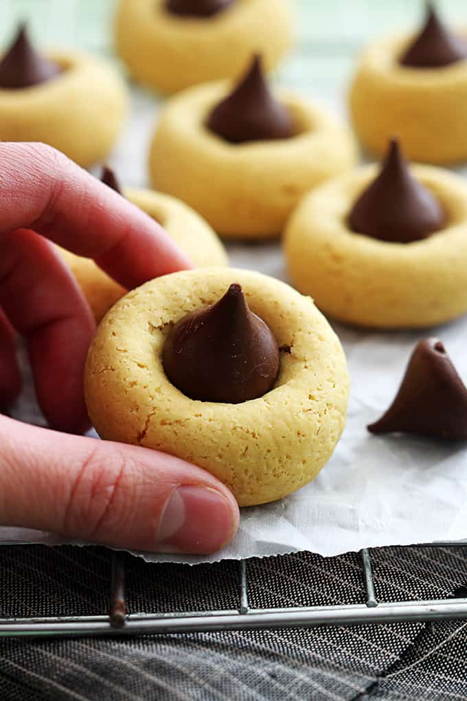 a hand picking up a chocolate pumpkin thumbprint cookie from a cooling rack with more cookies in the background.