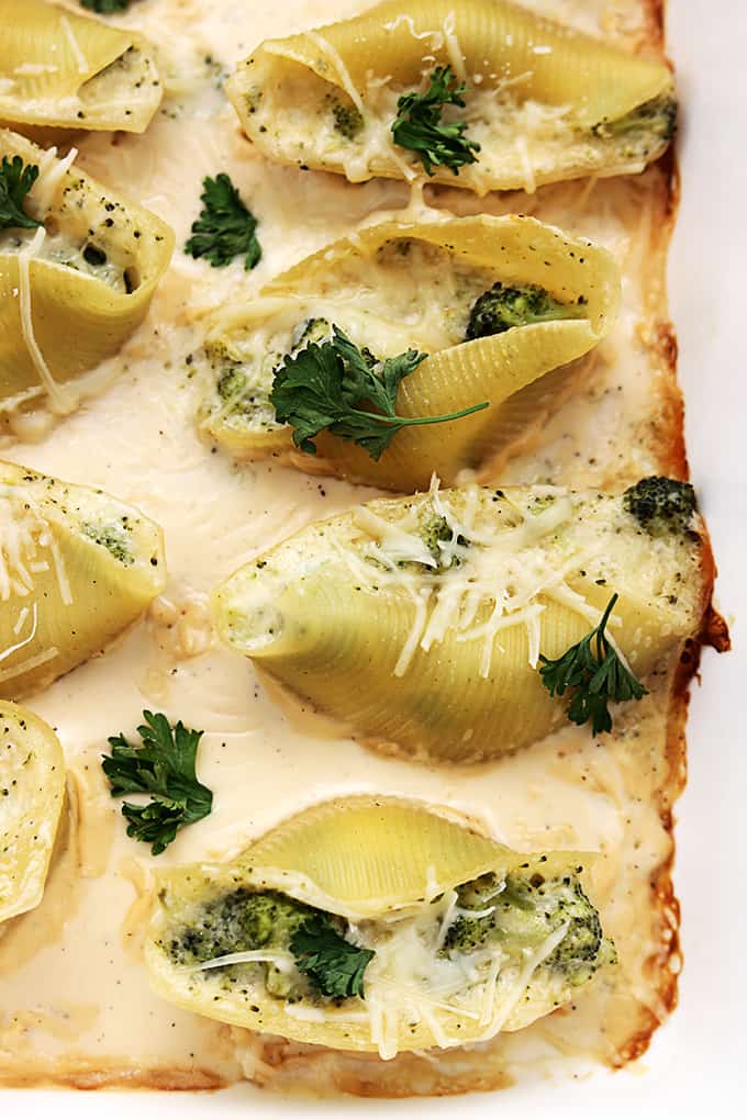 close up of broccoli alfredo stuffed shells.