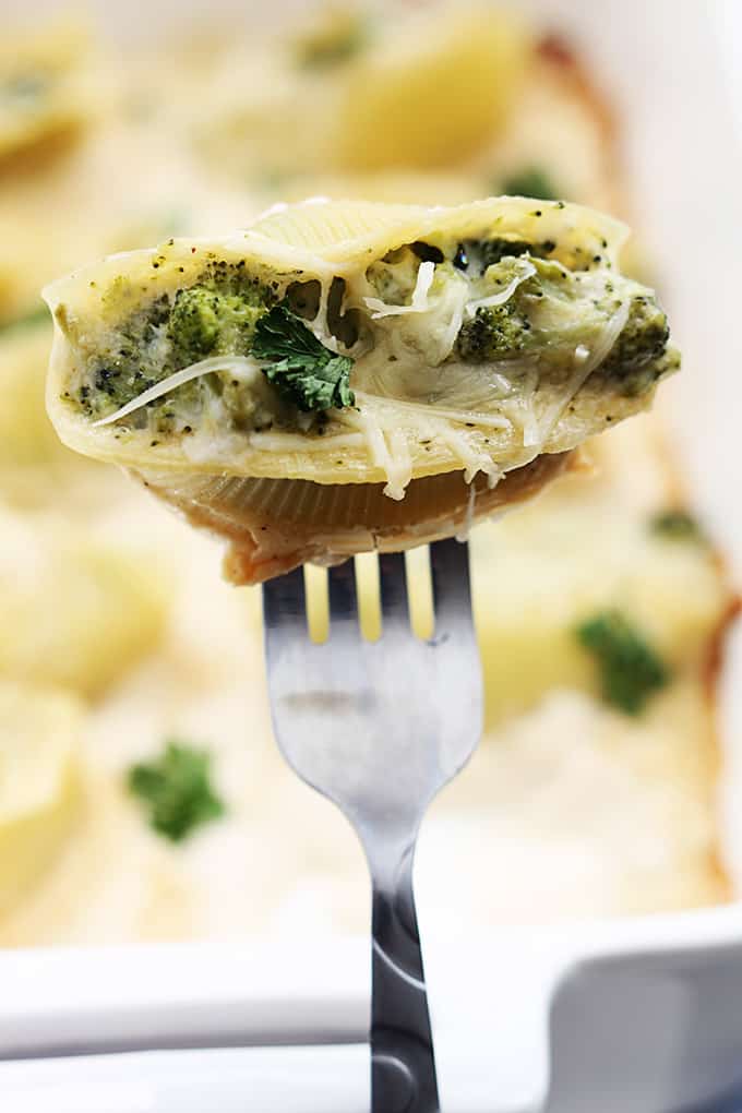 a fork holding up a broccoli alfredo stuffed shells with a serving tray of more shells faded in the background.