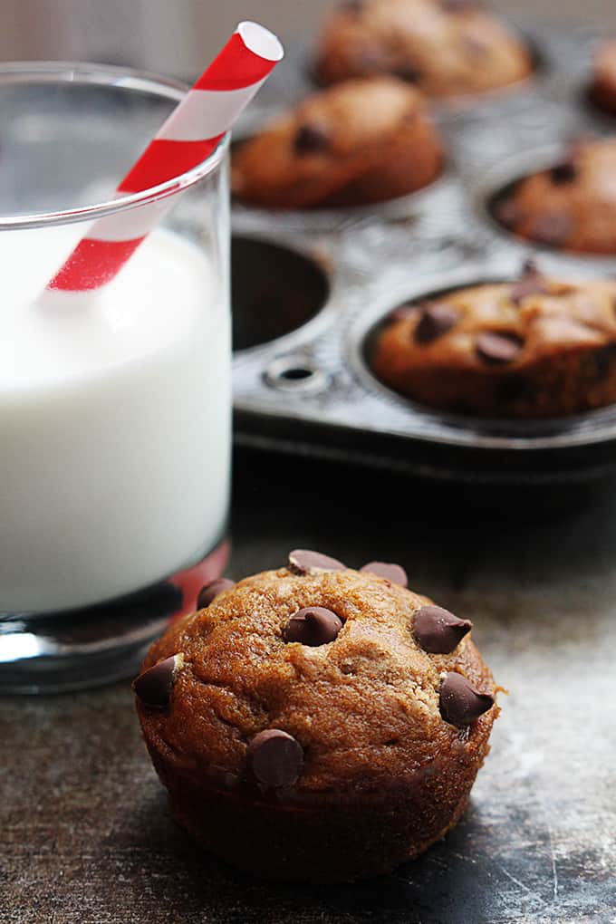 a pumpkin chocolate chip muffin next to a glass of milk with more muffins in a muffin tin in the background.