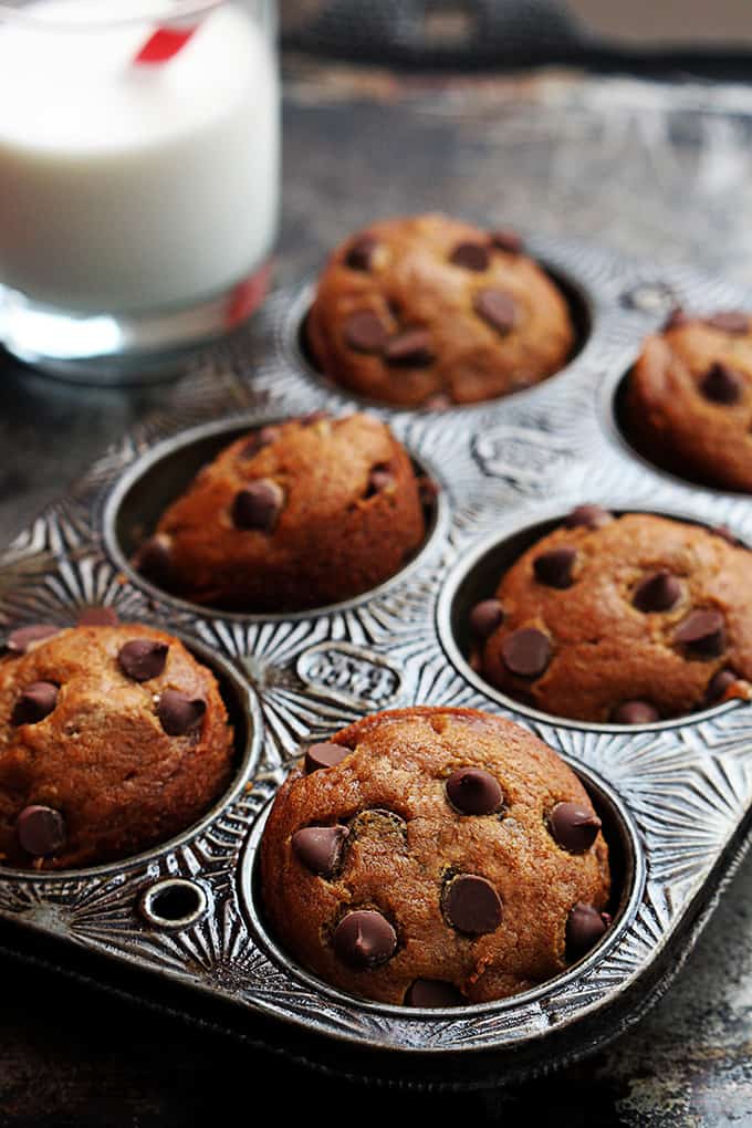 pumpkin chocolate chip muffins in a muffin tin next to a glass of milk.