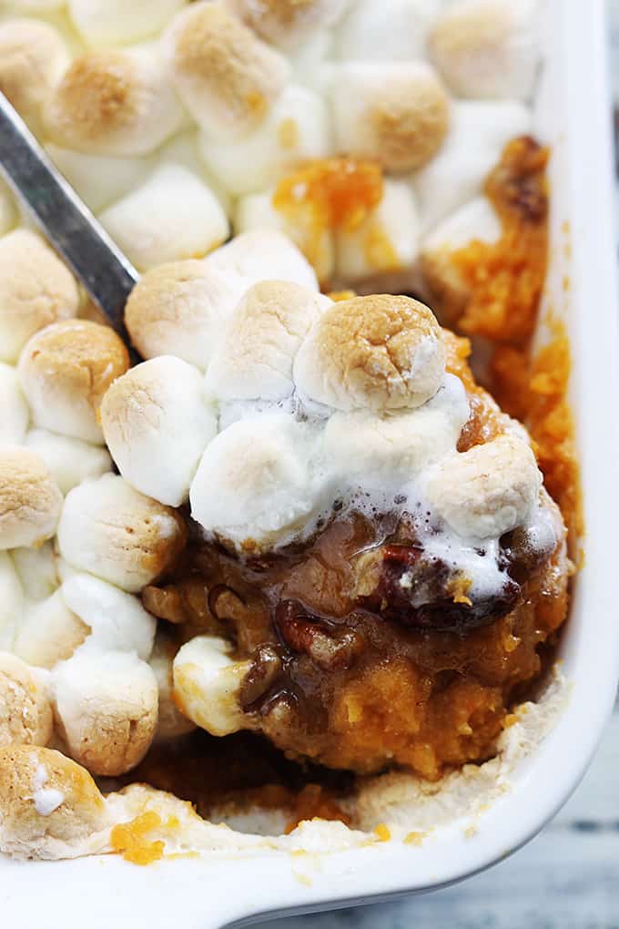 Candied Pecan Sweet Potato Casserole 