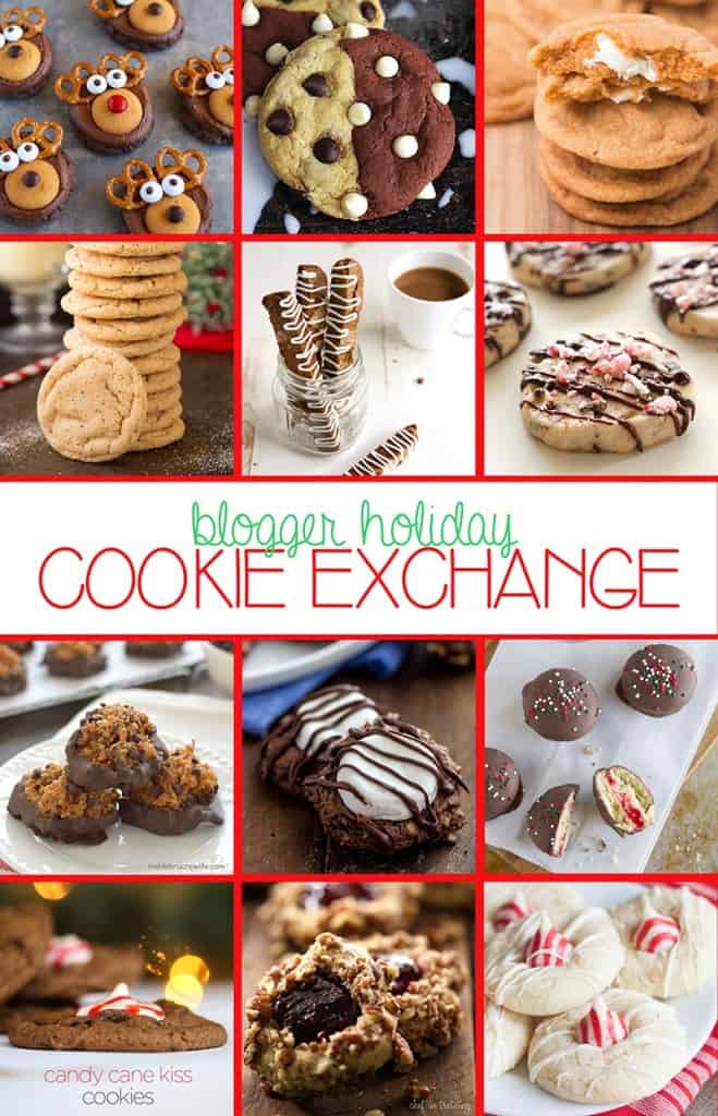 an image of the book "blogger holiday Cookies Exchange".