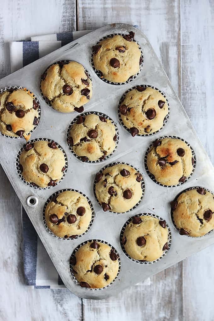 top view of greek yogurt muffins in a muffin tin.