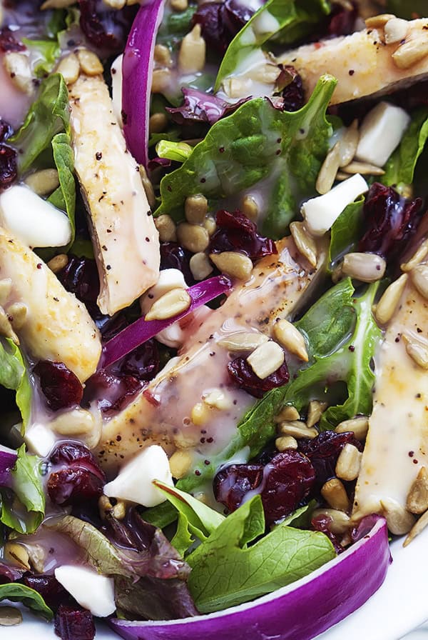 Kneader's Cranberry Sunflower Salad | Creme de la Crumb