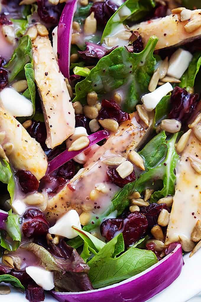 close up of Kneader's cranberry sunflower salad with raspberry poppyseed on top.