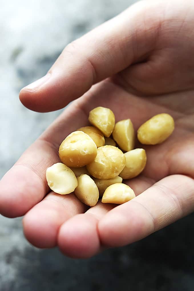 a hand holding macadamia nuts.