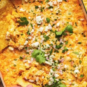 Up close view of mexican street corn dip with hand scoop chip.