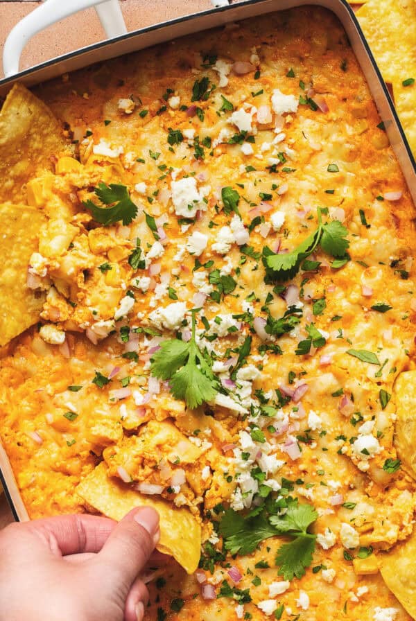 Up close view of mexican street corn dip with hand scoop chip.