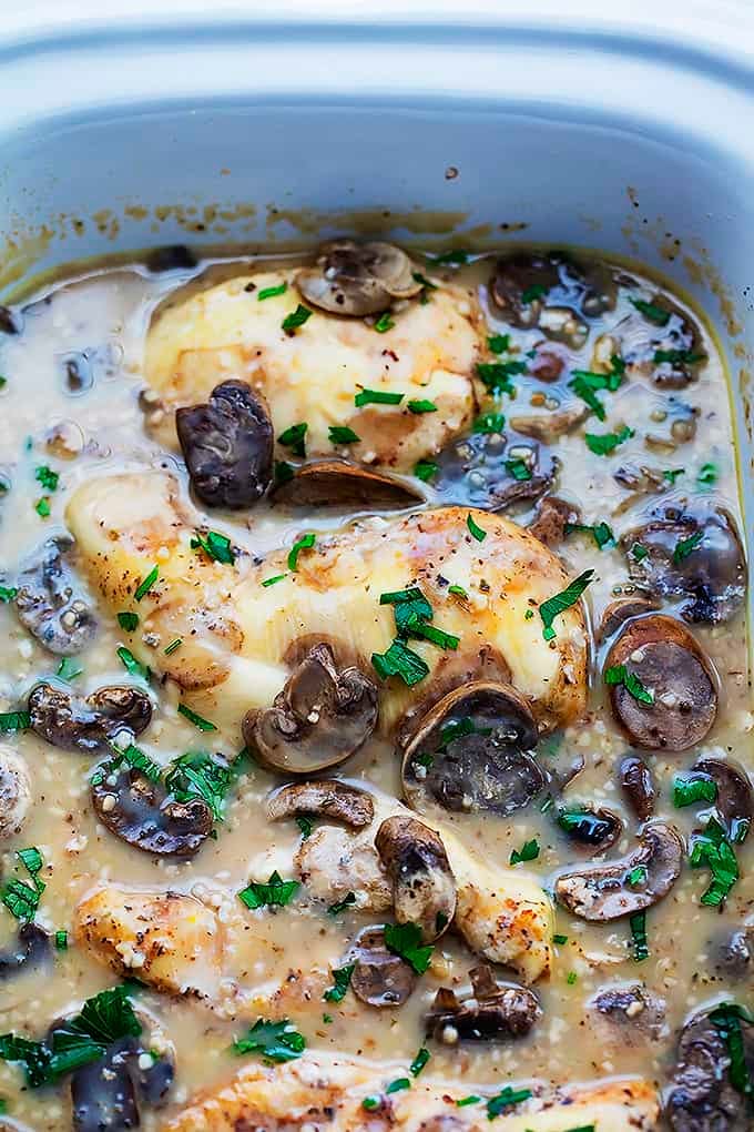 close up of slow cooker chicken marsala in a cooking tray.