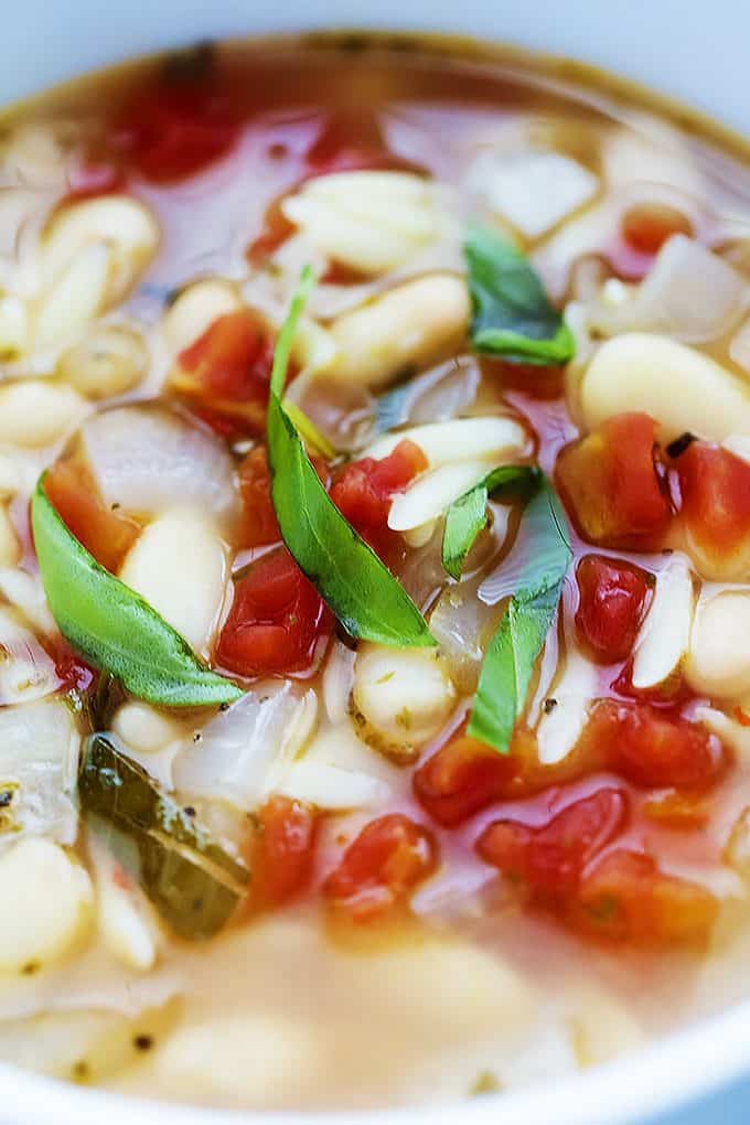 close up of Italian white bean & orzo soup.