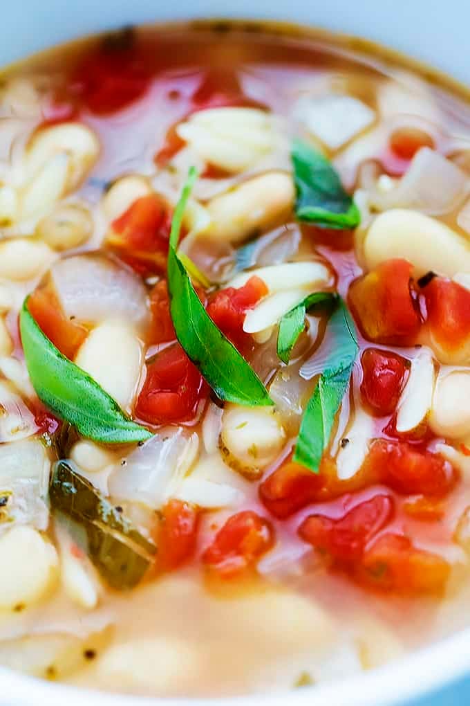 close up of Italian white bean & orzo soup.