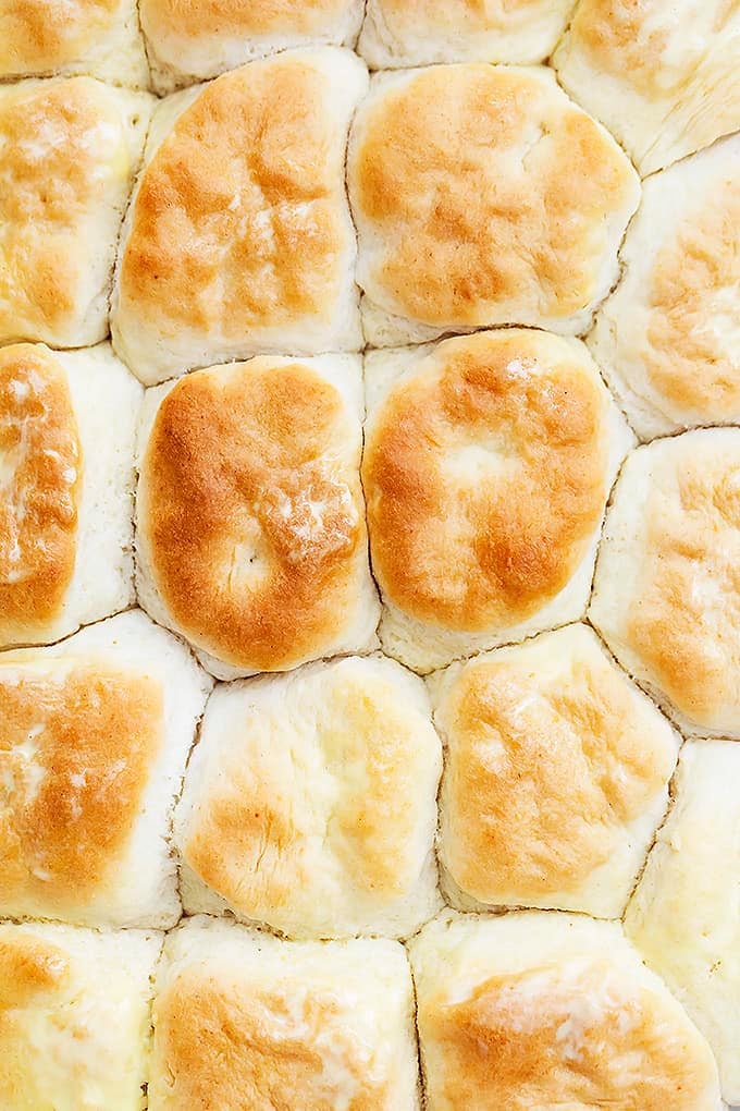 close up top view of Knott's Berry Farm buttermilk biscuits.