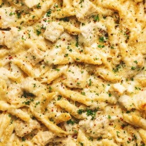up close photo of cheesy chicken and penne pasta with parsley garnish