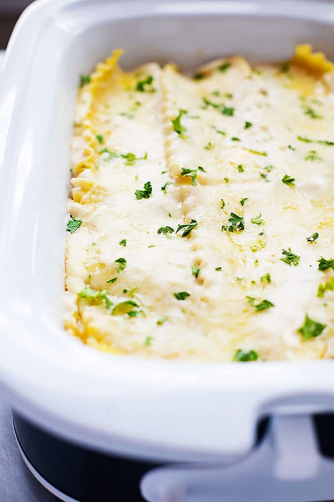 slow cooker three cheese chicken lasagna in a serving tray.