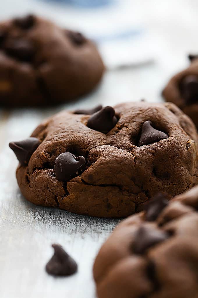 close up of a fudgy double chocolate cookie with more cookies around it.