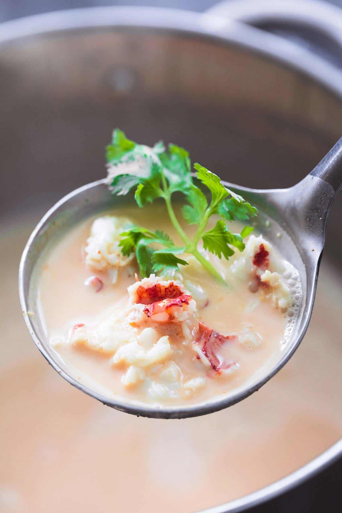 https://www.lecremedelacrumb.com/wp-content/uploads/2016/09/thai-lobster-bisque-101.jpg