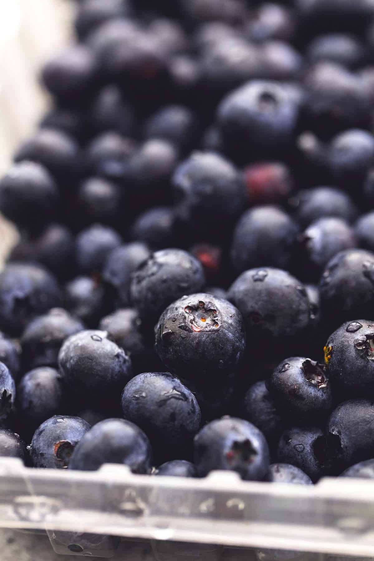 close up of blueberries.