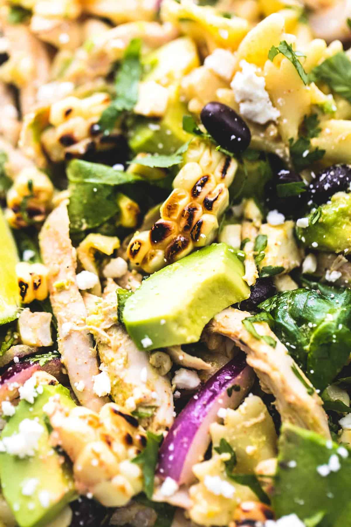 close up of Mexican street corn chicken pasta salad.