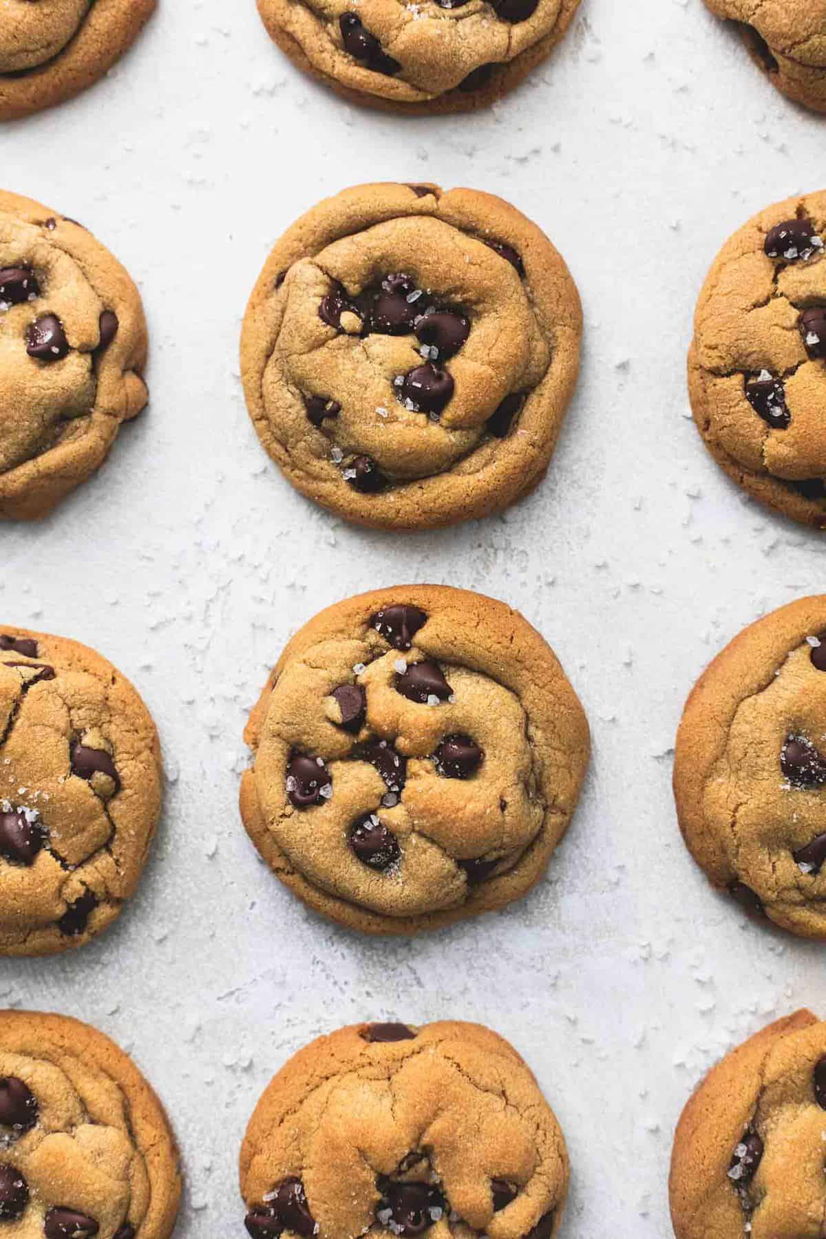 top view of cookie butter chocolate chip cookies in rows.