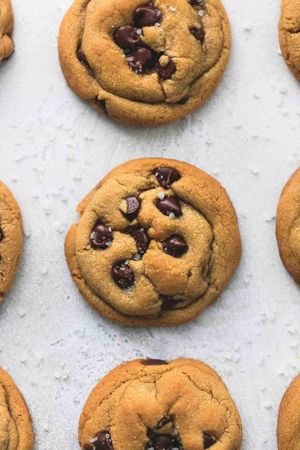 close up top view of cookie butter chocolate chip cookies in vertical rows.