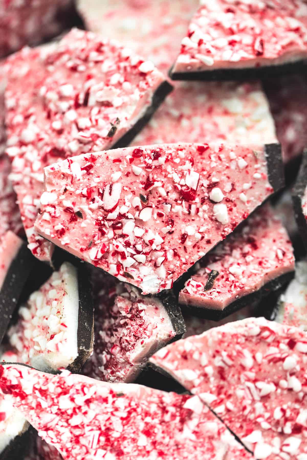 close up of peppermint bark.
