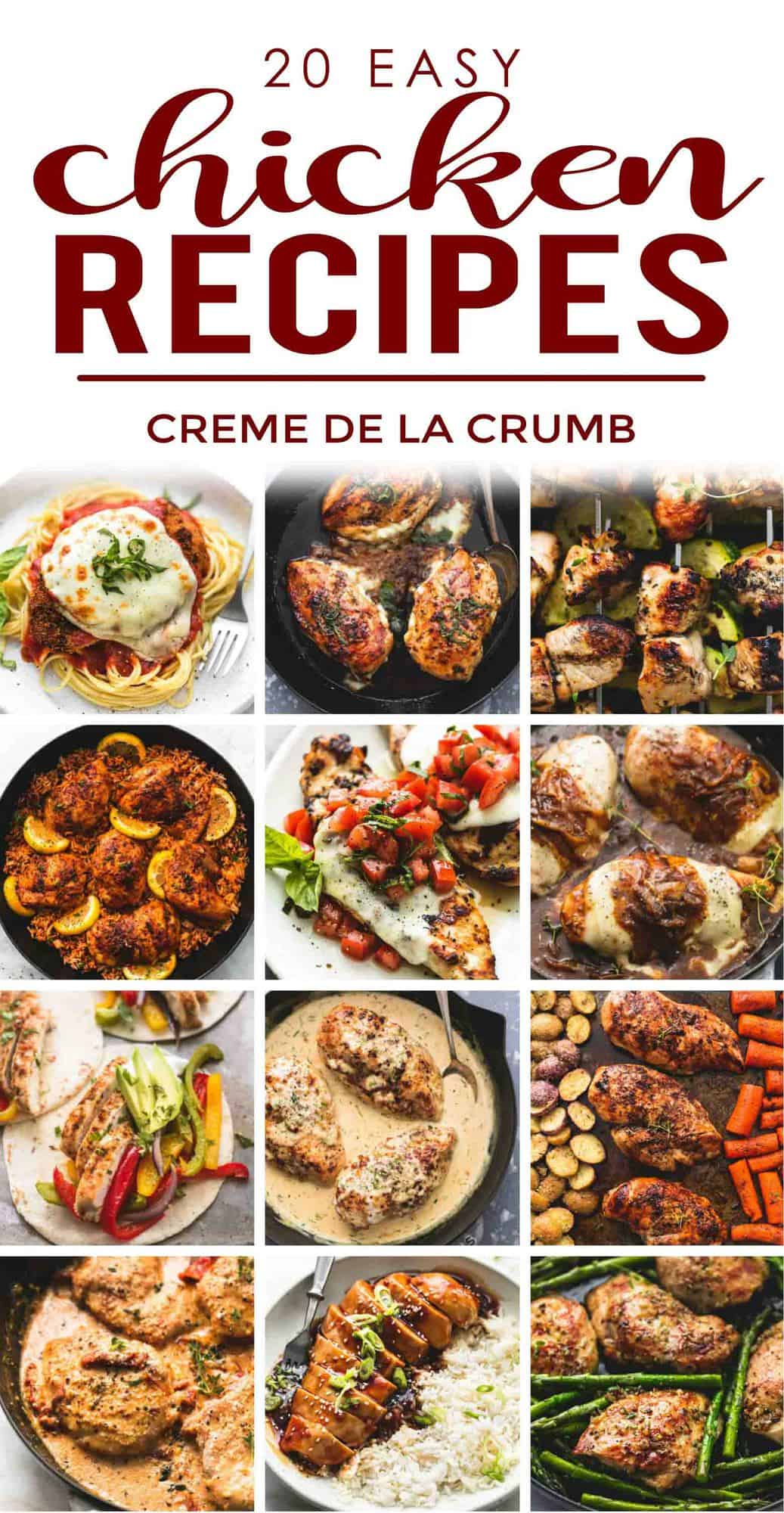 an image of the cover of "20 Easy Chicken Recipes" cookbook.