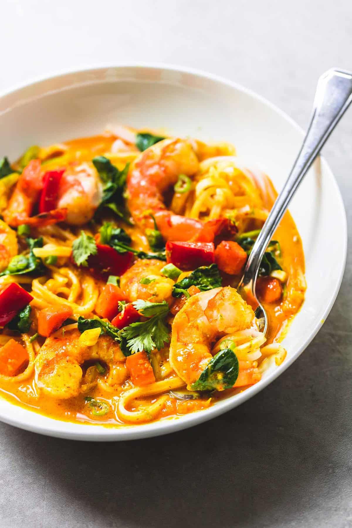 close up of Thai coconut curry with a spoon in a bowl.