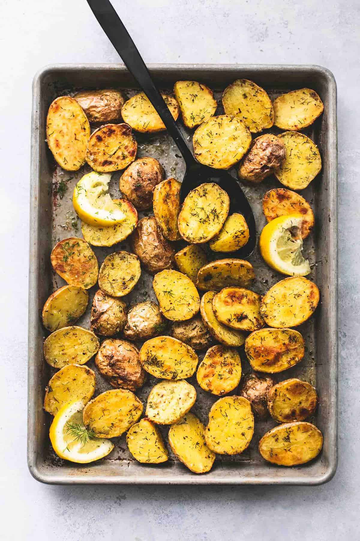 Dill Scalloped Potatoes - The Toasty Kitchen