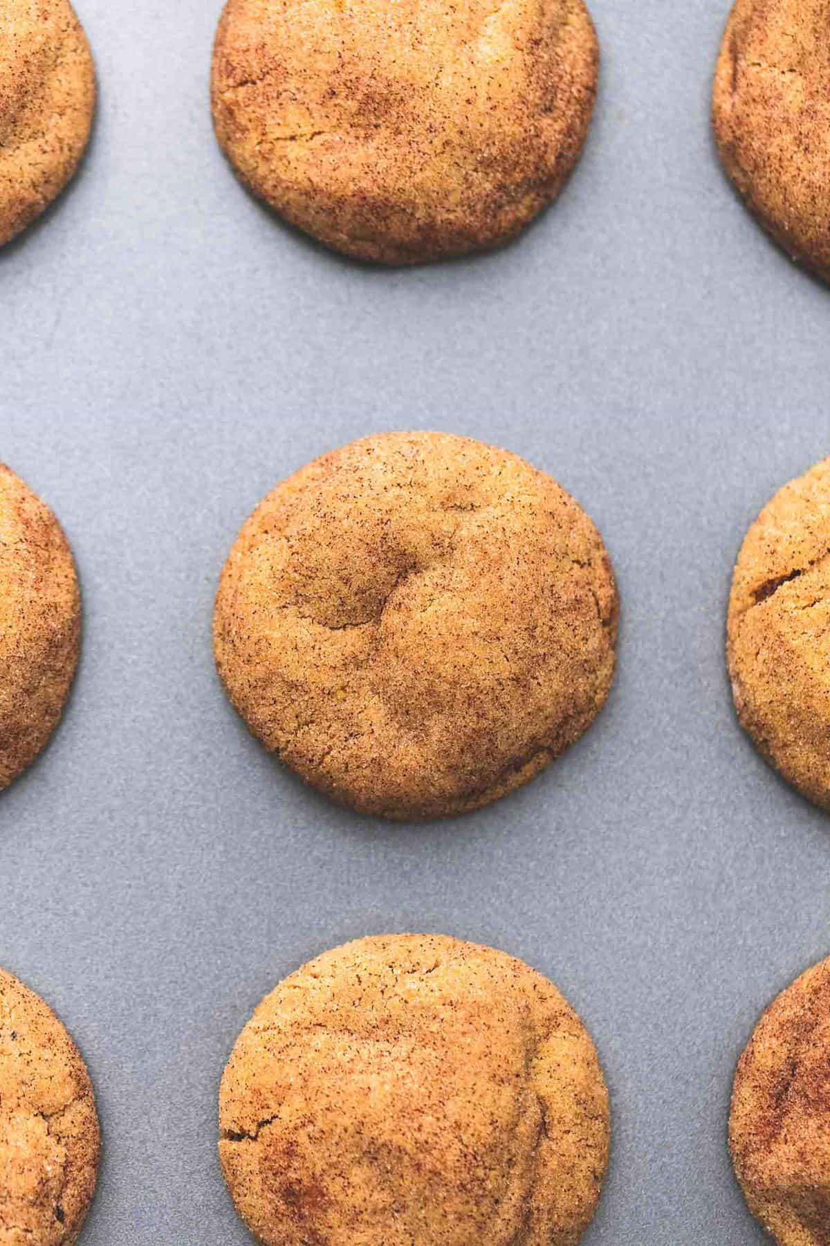 close up top view of pumpkin snickerdoodles in rows on a baking sheet.
