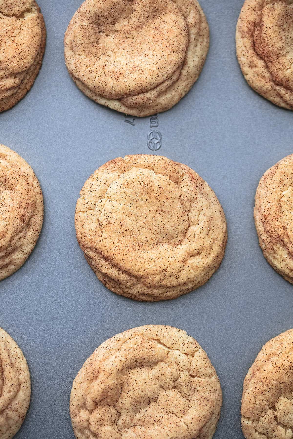 close up top view of snickerdoodles in rows on a baking sheet.