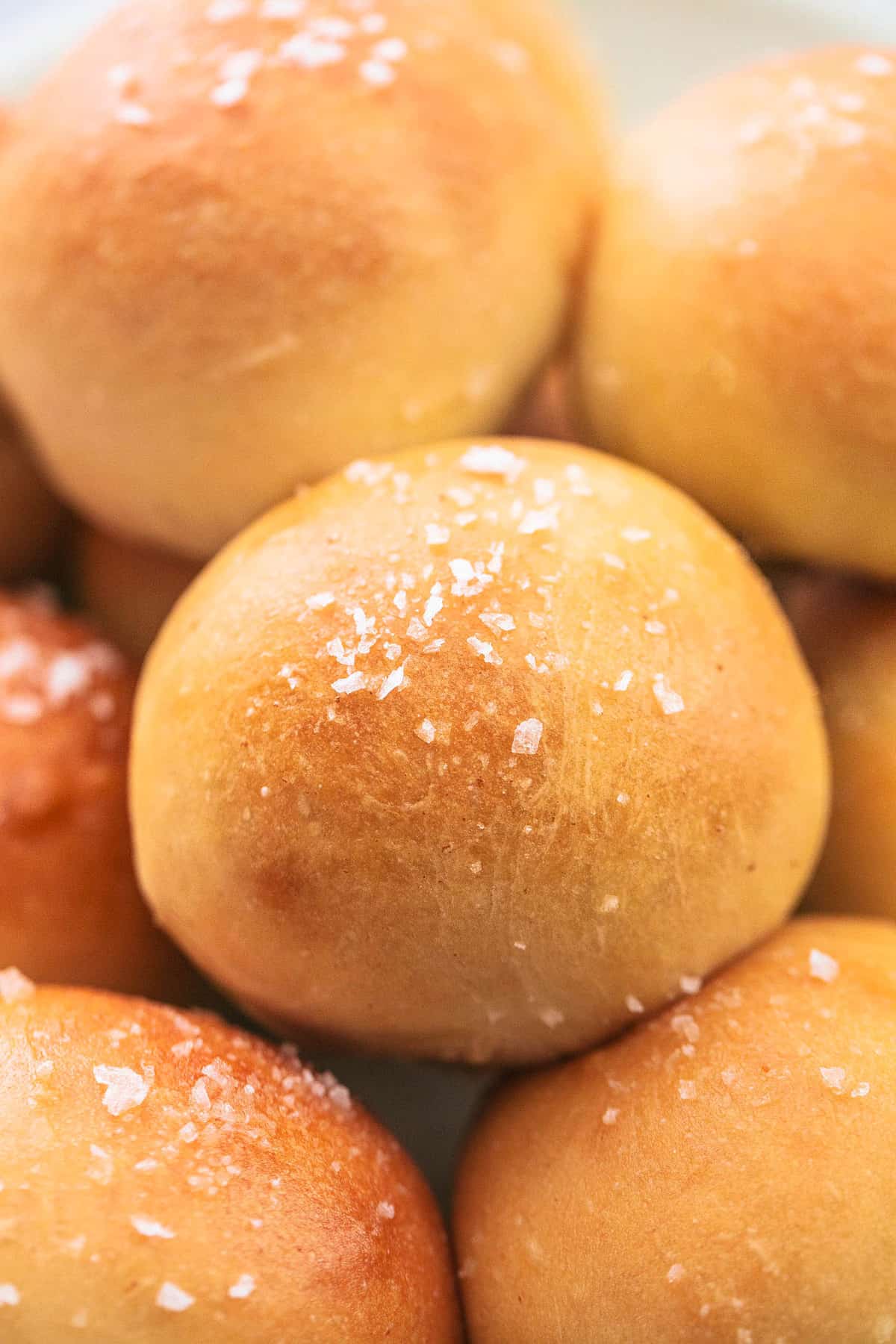 close up of potato rolls.