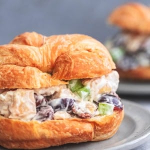 up close chicken salad sandwich croissant on a plate