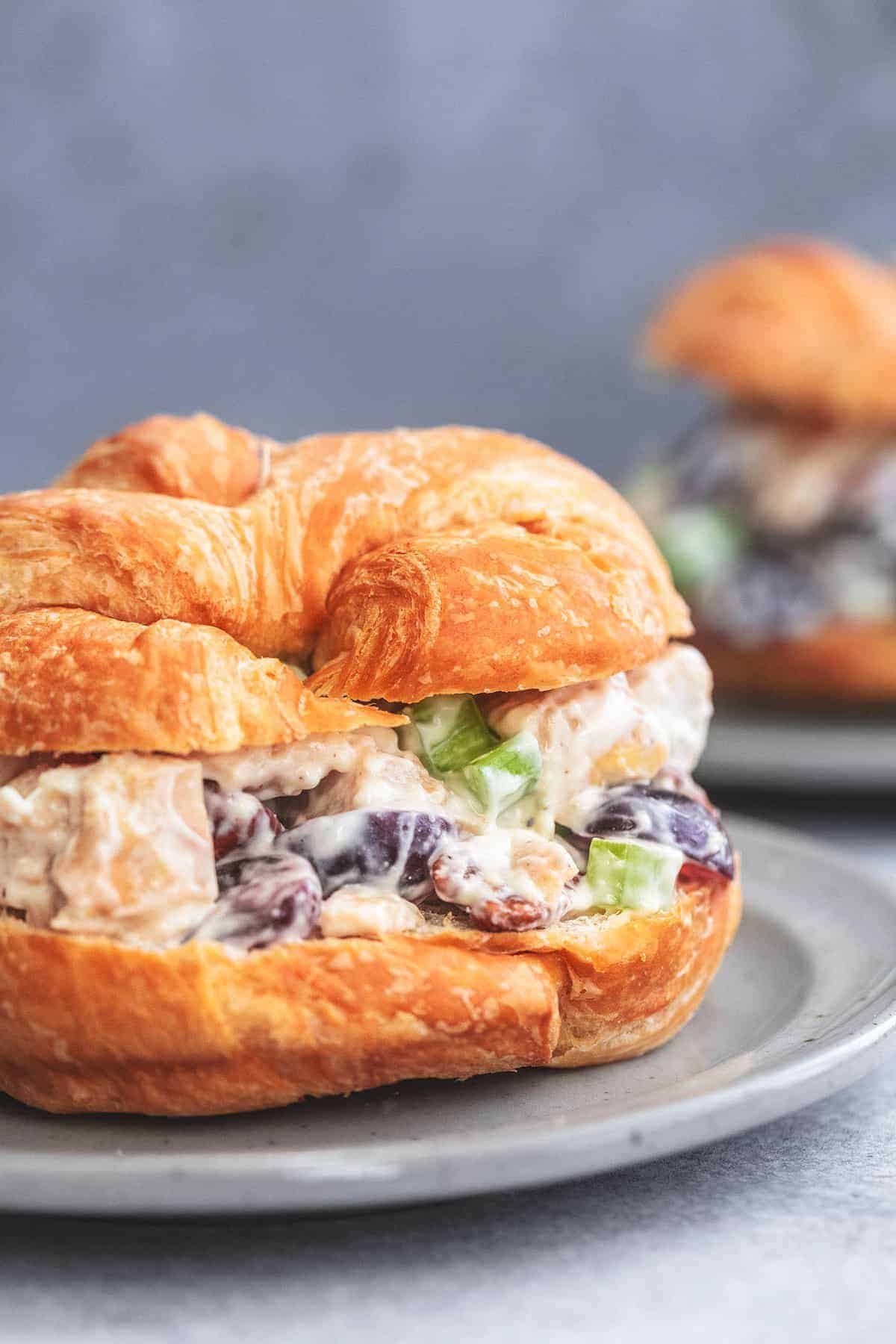 up close chicken salad sandwich croissant on a plate.