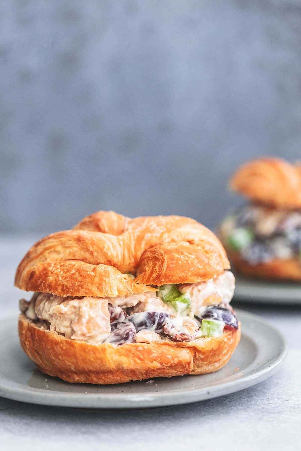 chicken salad sandwich with grapes on a plate.